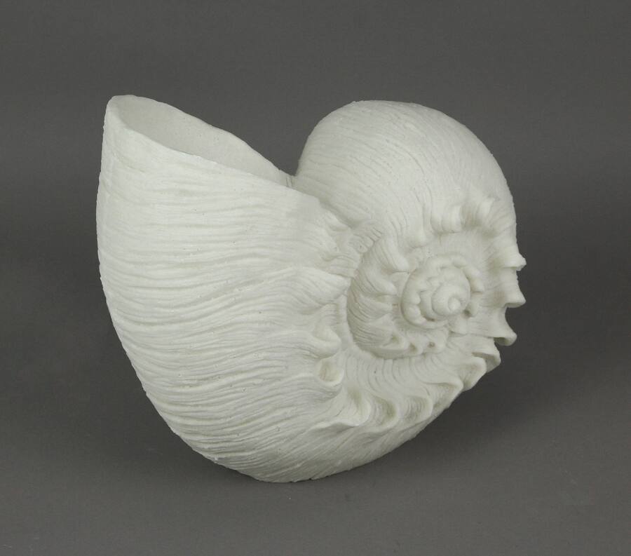 Notulous Shell Contrast Inc. Sandstone Finish Frilled Nautilus Shell Accent Lamp 10 ...