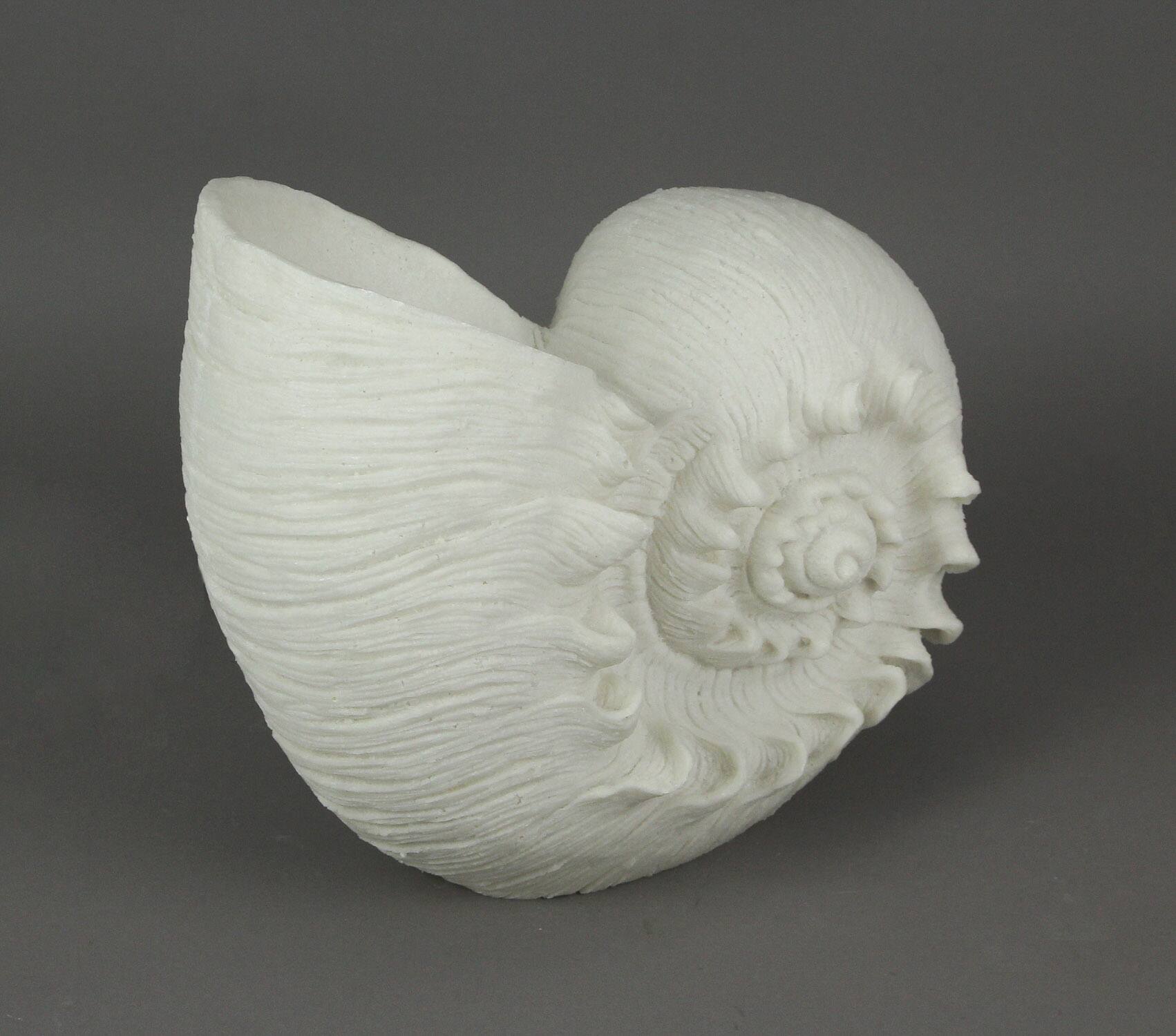 Alt View 1. Contrast Inc. - White Sandstone Finish Frilled Nautilus Shell Accent Lamp 10 Inches High - White.