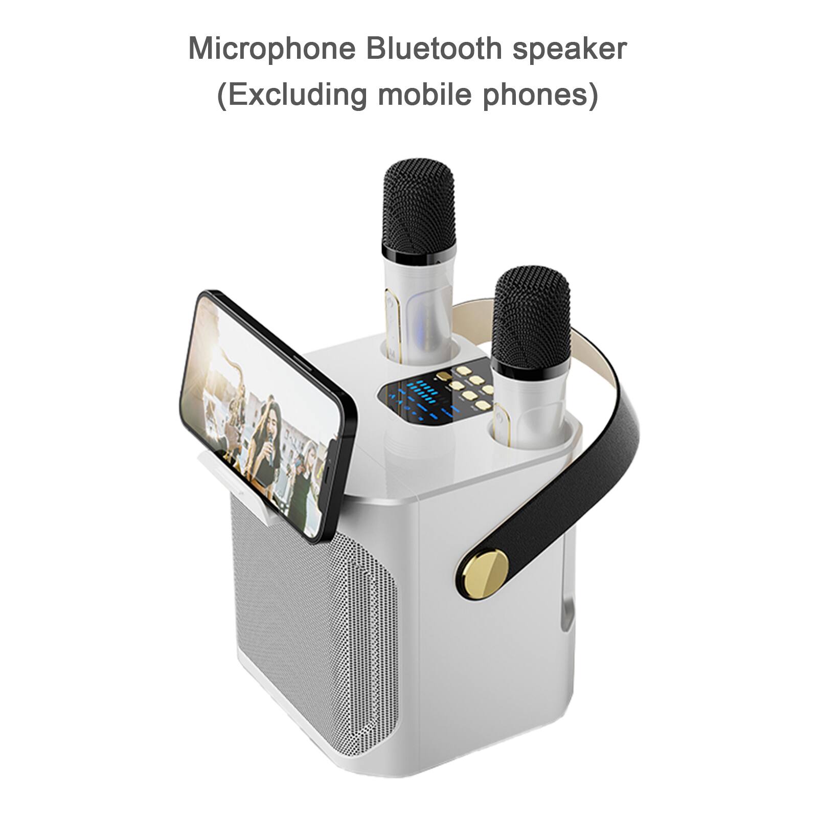 Microphone Bluetooth speaker  
(Excluding mobile phones)