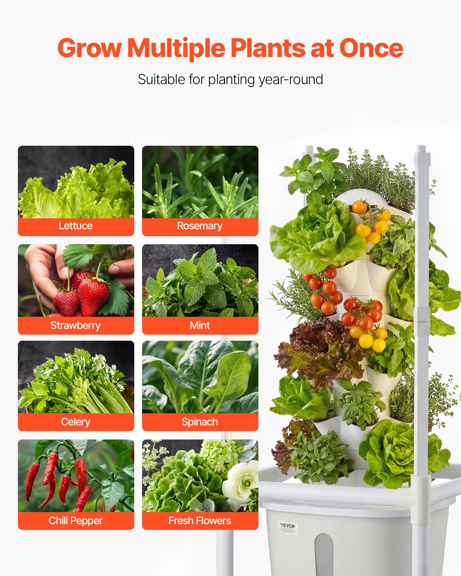 Grow Multiple Plants at Once  
Suitable for planting year-round  

- Lettuce  
- Rosemary  
- Strawberry  
- Mint  
- Celery  
- Spinach  
- Chili Pepper  
- Fresh Flowers  

VEVOR