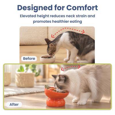 Designed for Comfort  
Elevated height reduces neck strain and promotes healthier eating  

Before  
After