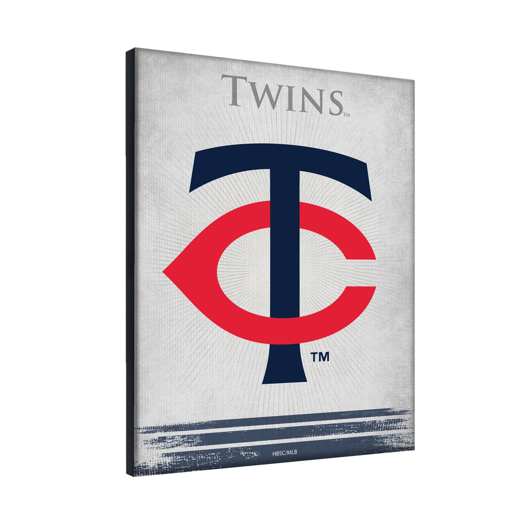 TWINS™  
T  
TM  
HBSC/MLB