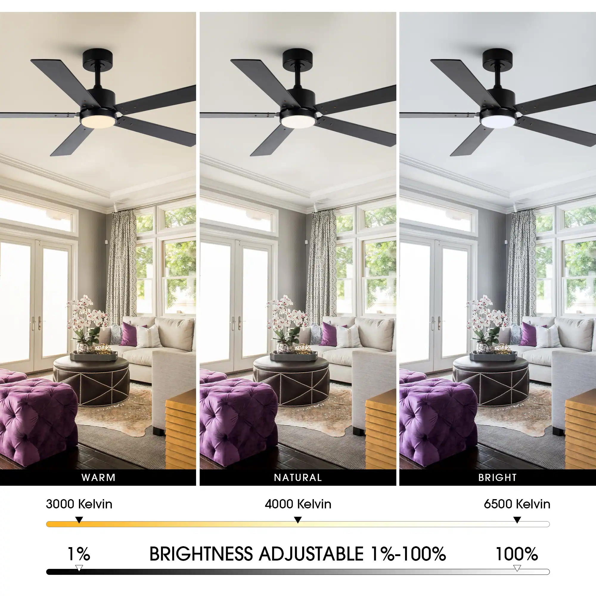 WARM NATURAL BRIGHT  
3000 Kelvin 4000 Kelvin 6500 Kelvin  
1% BRIGHTNESS ADJUSTABLE 1%-100% 100%