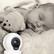 Left. MOBI - Cam Multi-Purpose Smart HD Wi-Fi Baby Camera Monitor with 2-way Audio, Recording, and motion detection - White.