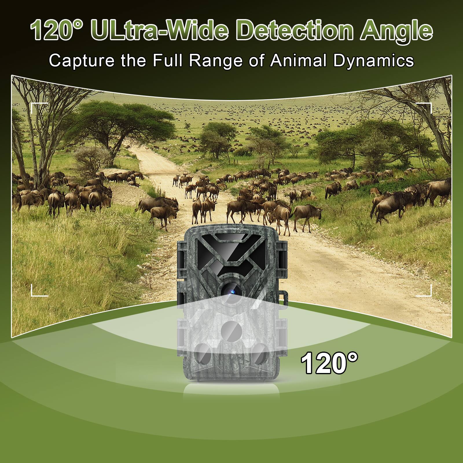 120° ULtra-Wide Detection Angle  
Capture the Full Range of Animal Dynamics