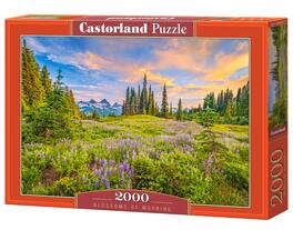 Castorland - 2000 Piece Jigsaw Puzzles, Blossoms of Morning, Landscape puzzles, Meadow, Mountain view, C-200863-2 - Red