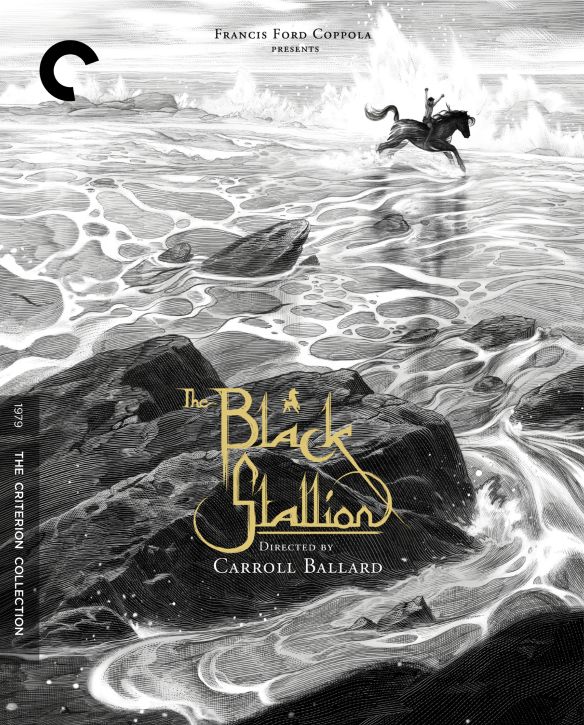 

The Black Stallion [Criterion Collection] [DVD] [1979]