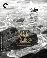 The Black Stallion [Criterion Collection] [DVD] [1979] - Front_Original