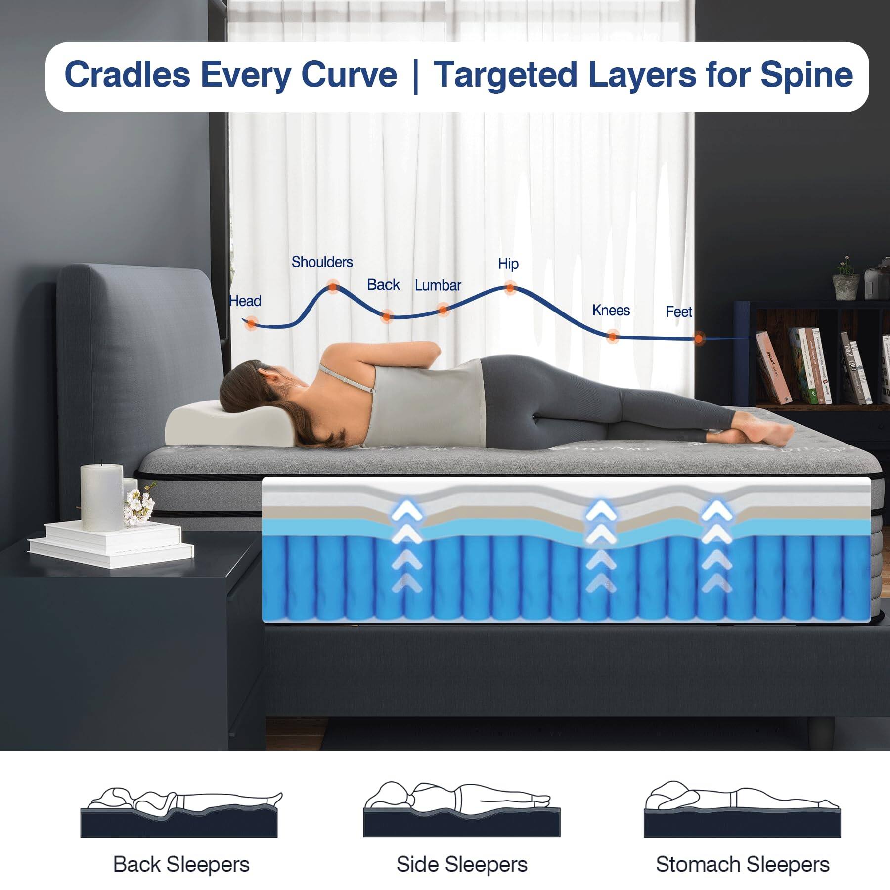 Cradles Every Curve | Targeted Layers for Spine

- Head
- Shoulders
- Back
- Lumbar
- Hip
- Knees
- Feet

Back Sleepers | Side Sleepers | Stomach Sleepers