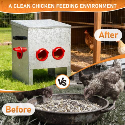 A CLEAN CHICKEN FEEDING ENVIRONMENT

After

VS

Before