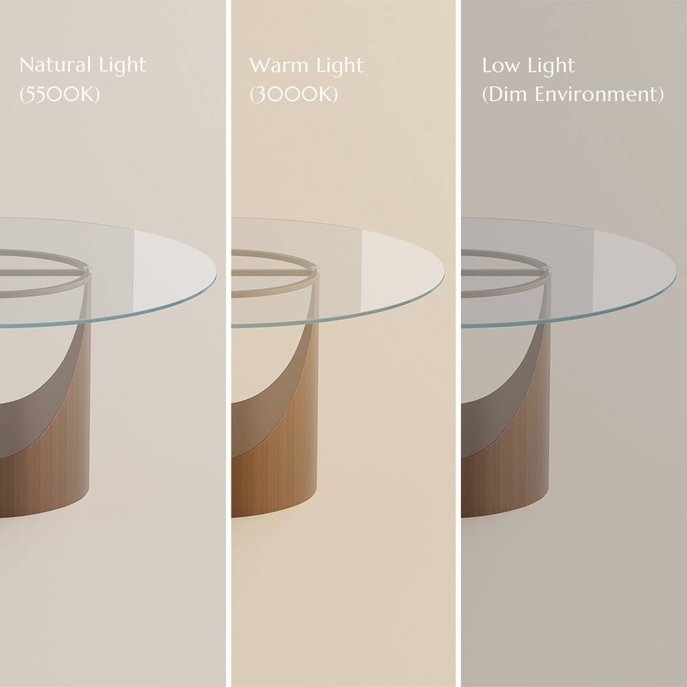 Natural Light (5500K)  
Warm Light (3000K)  
Low Light (Dim Environment)