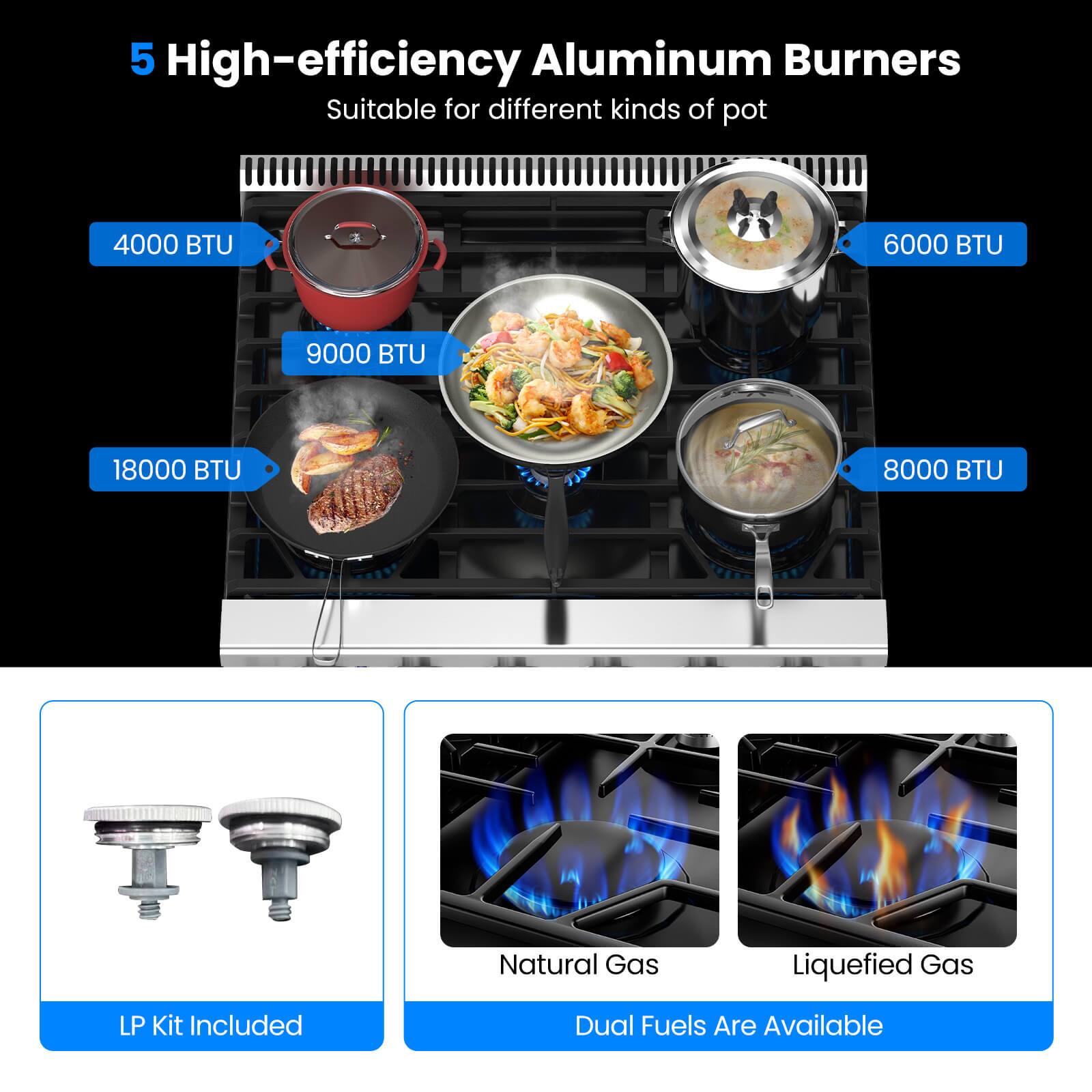 5 High-efficiency Aluminum Burners  
Suitable for different kinds of pot  

- 4000 BTU  
- 6000 BTU  
- 9000 BTU  
- 18000 BTU  
- 8000 BTU  

LP Kit Included  

Dual Fuels Are Available  
- Natural Gas  
- Liquefied Gas
