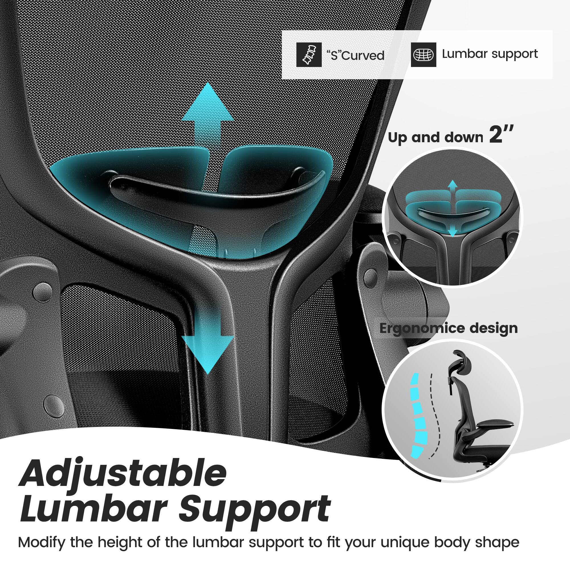 Adjustable Lumbar Support

Modify the height of the lumbar support to fit your unique body shape

"S" Curved Lumbar support

Up and down 2"

Ergonomic design