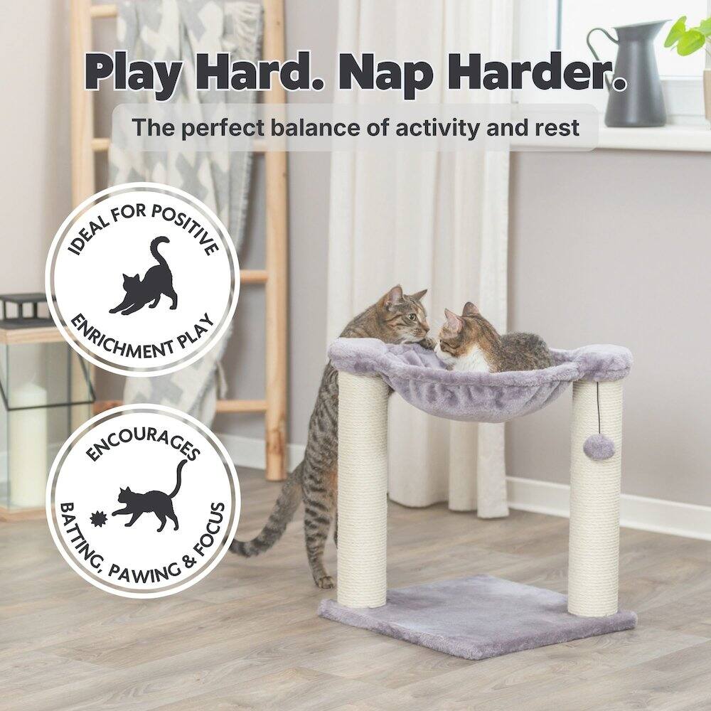 Play Hard. Nap Harder.  
The perfect balance of activity and rest  

IDEAL FOR POSITIVE ENRICHMENT PLAY  
ENCOURAGES BATTING, PAWING & FOCUS