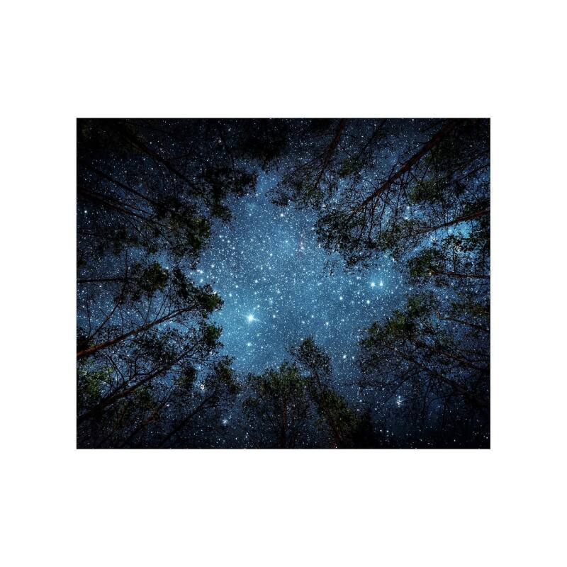 Reds Spade - Nature Scenery Landscape Tapestry Decoration - Starry Sky - Black & Blue
