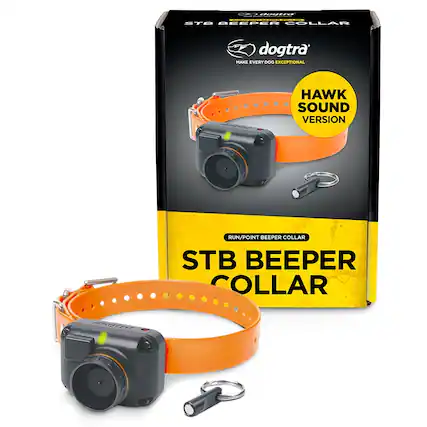 The text on the image can be grouped and corrected as follows:
- **dogtra**
- MAKE EVERY DOG EXCEPTIONAL
- **STB BEEPER COLLAR**
- RUN/POINT BEEPER COLLAR
- HAWK SOUND VERSION
- **STB BEEPER COLLAR**