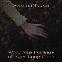 Wondrous Feelings of Ages Long [LP] - VINYL - Front_Zoom