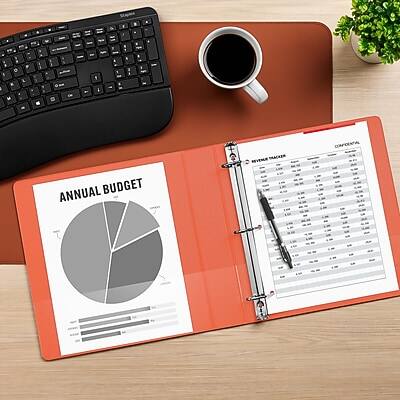 ANNUAL BUDGET