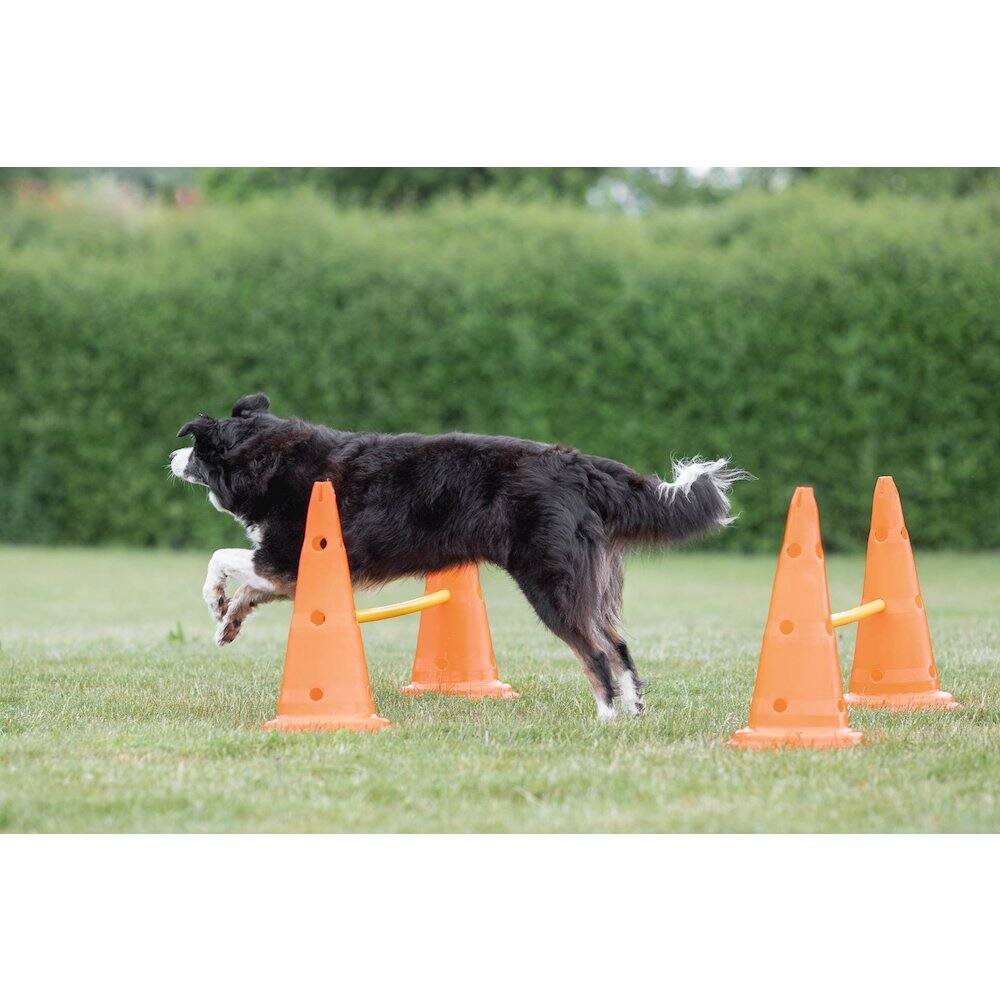 Left. TRIXIE - Dog Agility Hurdle Cone Set, Obstacle Training - Orange/Yellow.