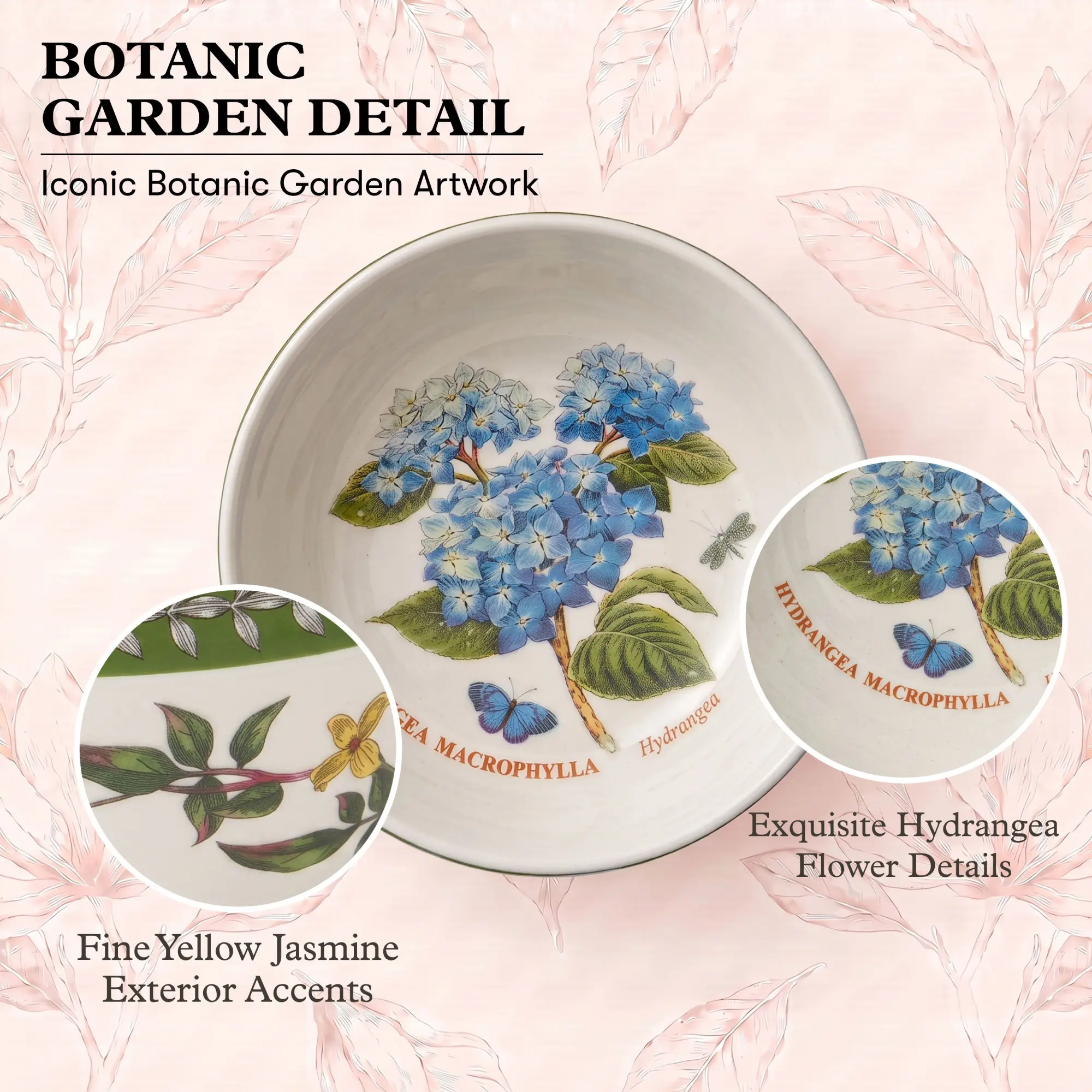 BOTANIC GARDEN DETAIL  
Iconic Botanic Garden Artwork

HYDRANGEA MACROPHYLLA  
Exquisite Hydrangea Flower Details

Fine Yellow Jasmine Exterior Accents