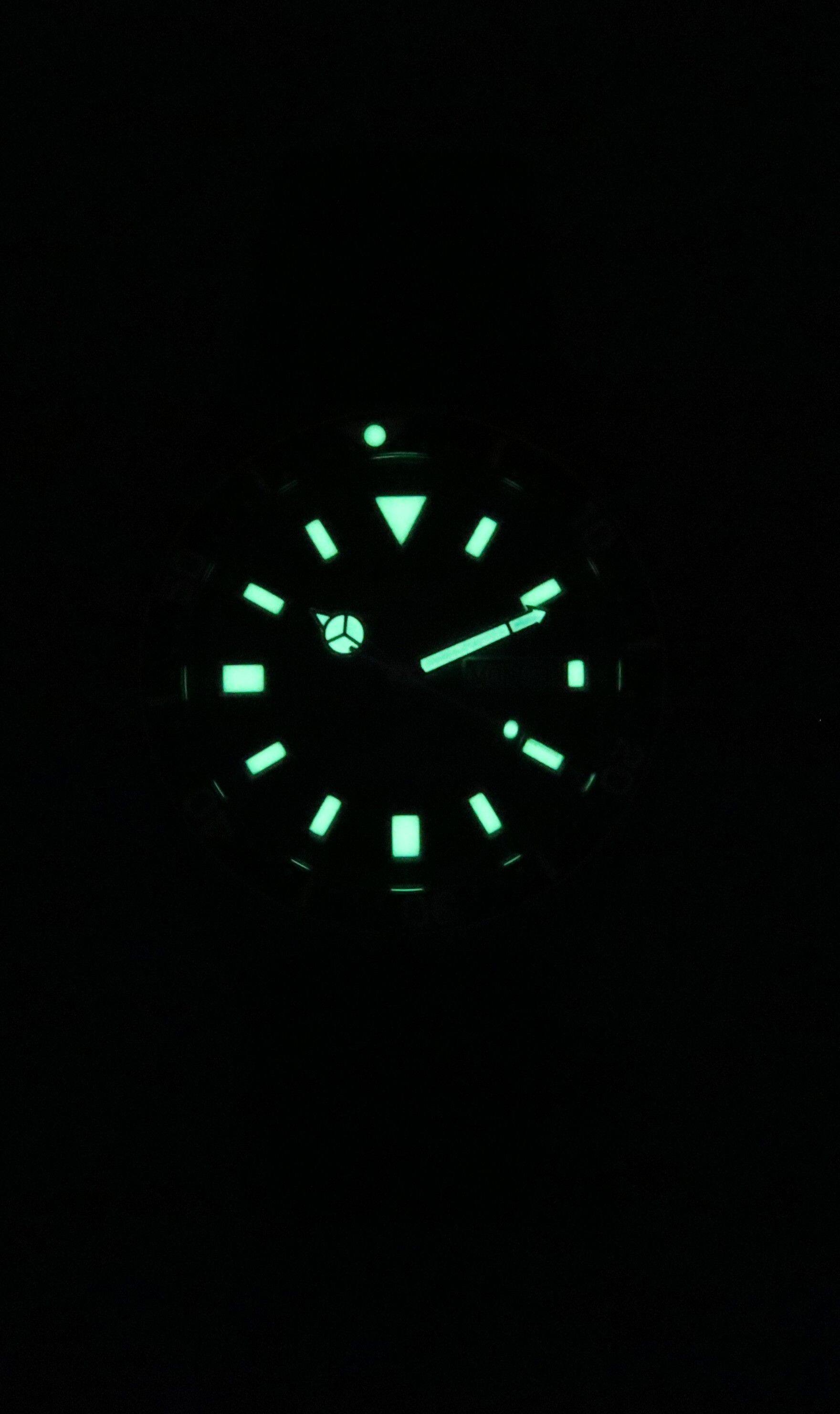 Citizen Promaster Polyurethane Strap Dial Automatic Diver's NY0121