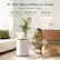 30-Pint Dehumidifier for Home
Small in Size, Big on Efficiency
30 PPD Max Capacity
2000 Ft² Effective Area
15% RH Min. Humidity