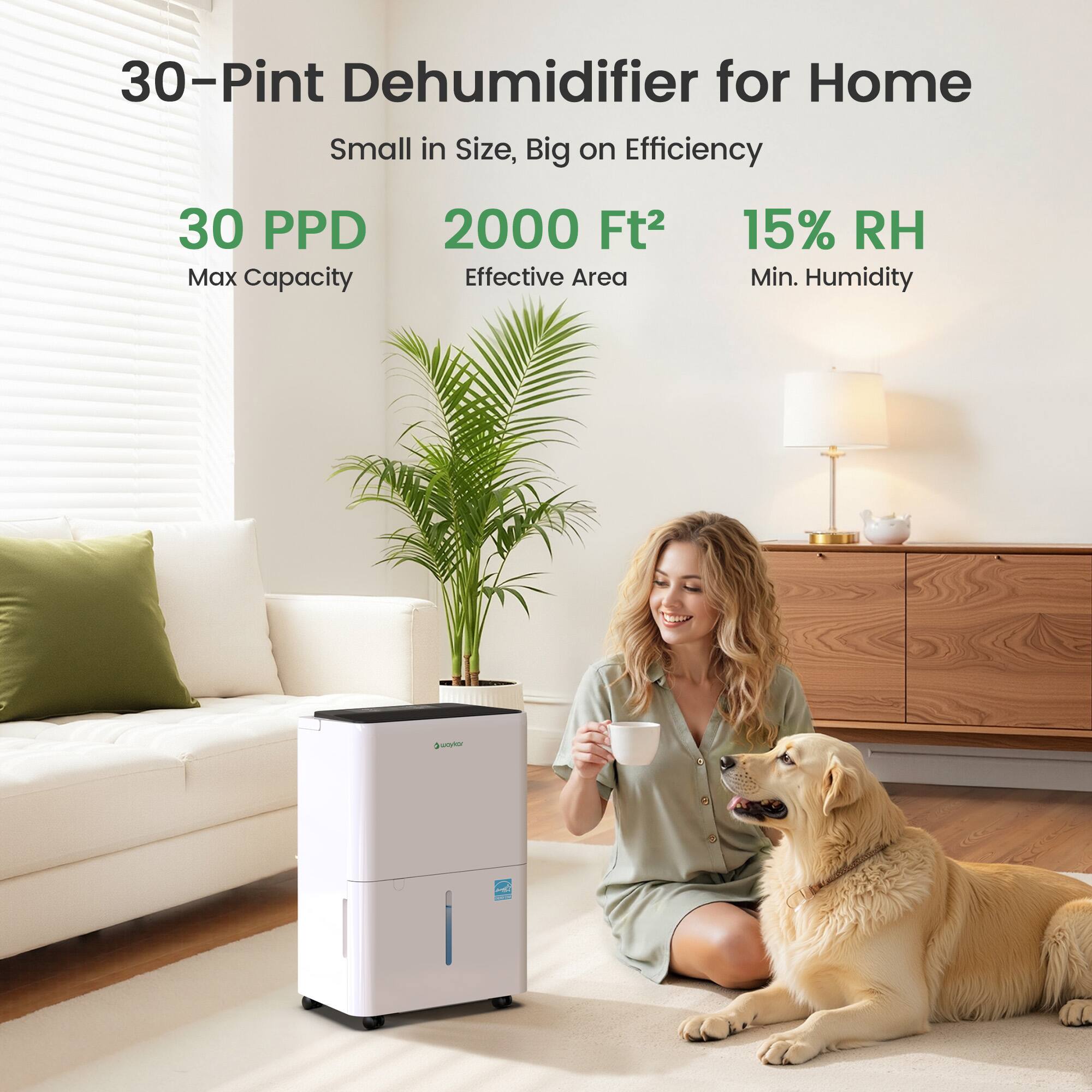 30-Pint Dehumidifier for Home  
Small in Size, Big on Efficiency  
30 PPD Max Capacity  
2000 Ft² Effective Area  
15% RH Min. Humidity