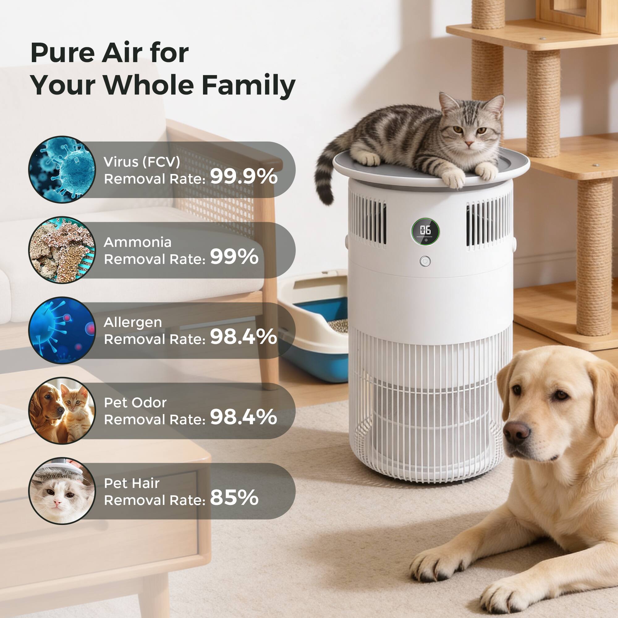 Pure Air for Your Whole Family

- Virus (FCV) Removal Rate: 99.9%
- Ammonia Removal Rate: 99%
- Allergen Removal Rate: 98.4%
- Pet Odor Removal Rate: 98.4%
- Pet Hair Removal Rate: 85%