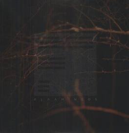 Flaamingos - Flaamingos - VINYL LP