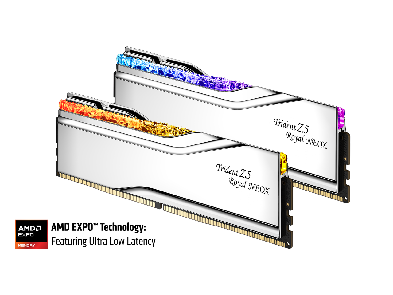 Trident Z5 Royal NEOX  
AMD EXPO  
MEMORY