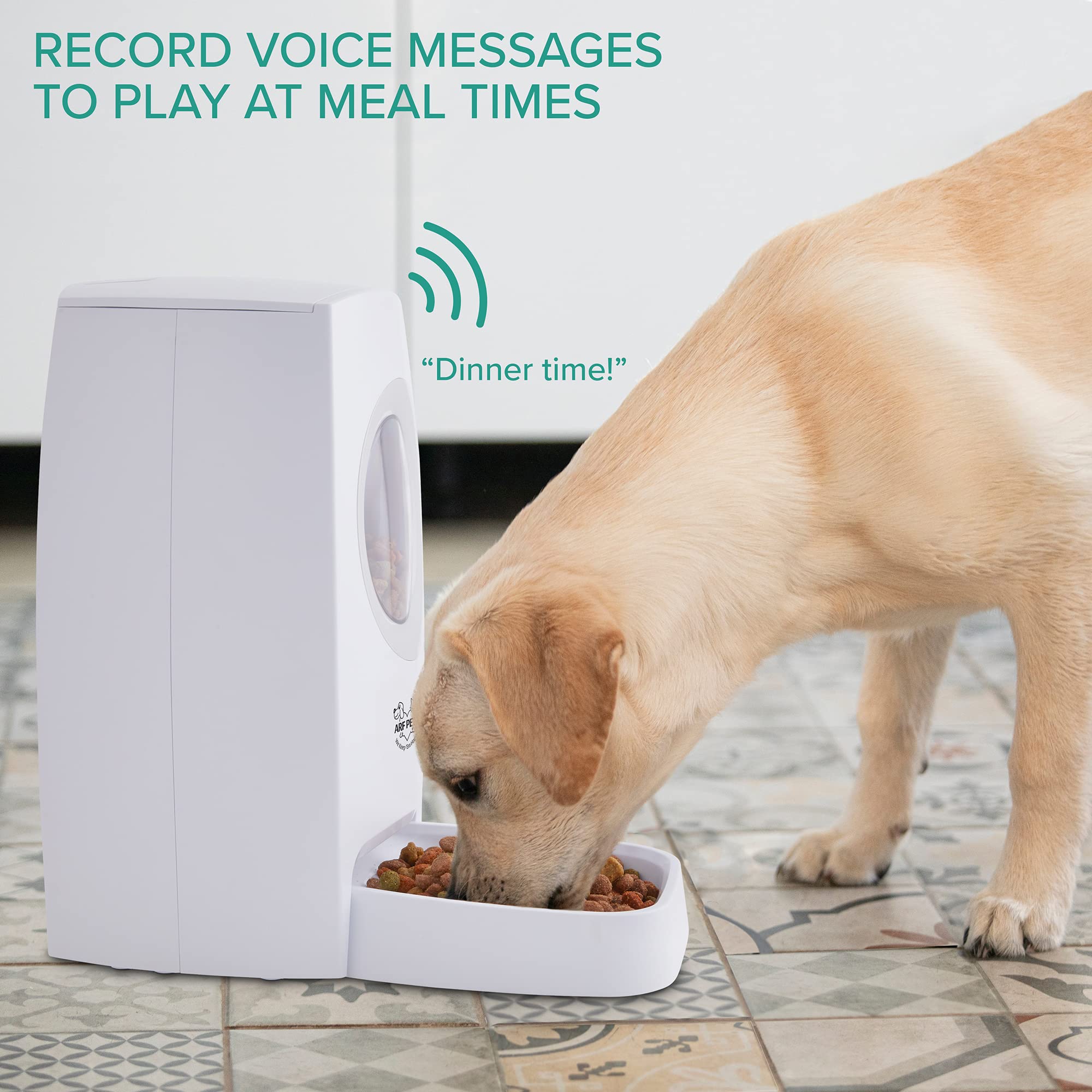RECORD VOICE MESSAGES TO PLAY AT MEAL TIMES "Dinner time!"