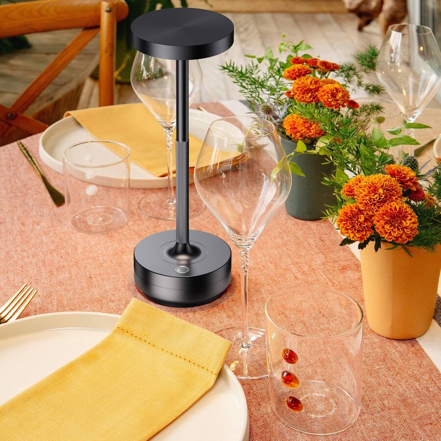 Dazzling Pops SAKRINGT Rechargeable Cordless Table Lamp Battery ...