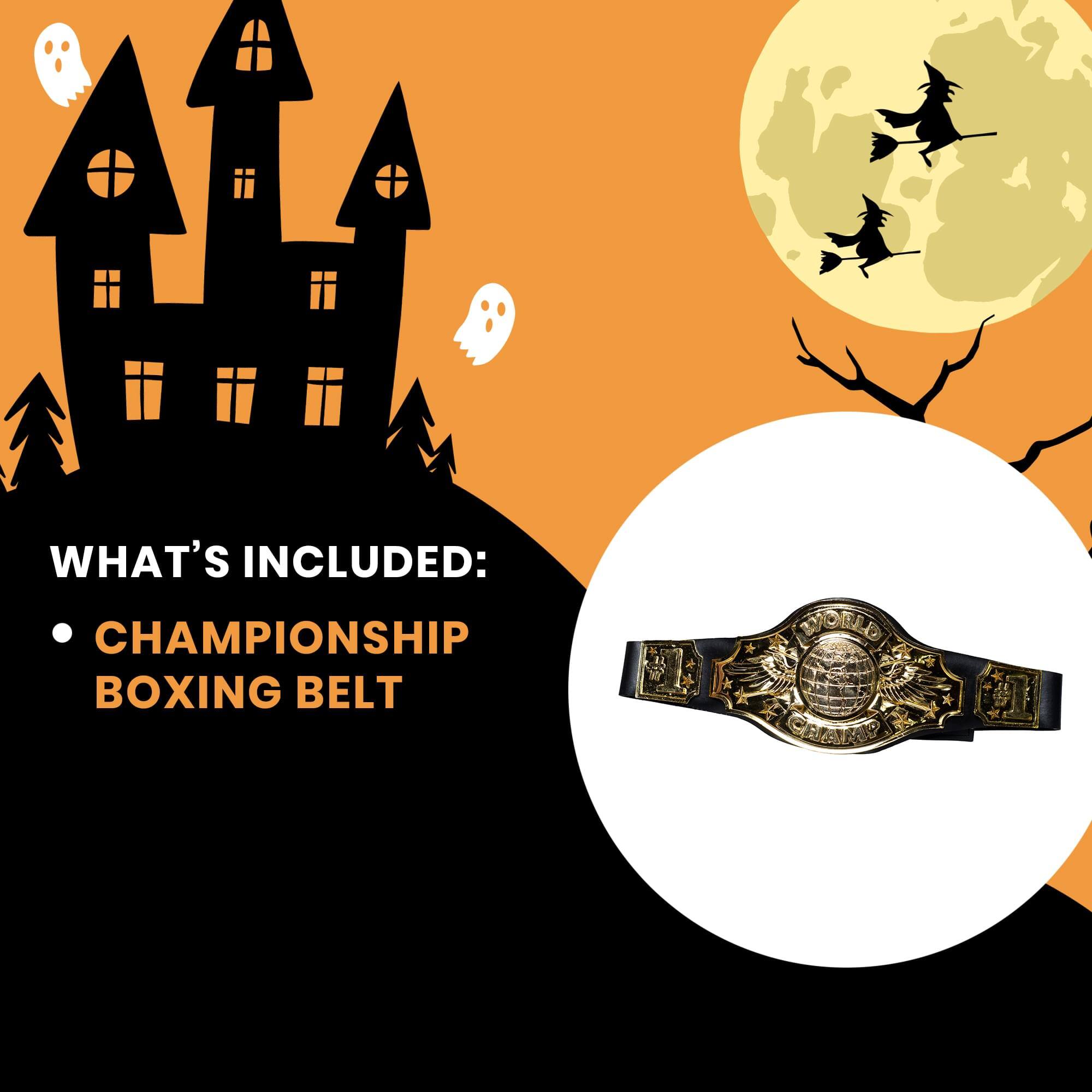 WHAT'S INCLUDED:
- CHAMPIONSHIP BOXING BELT