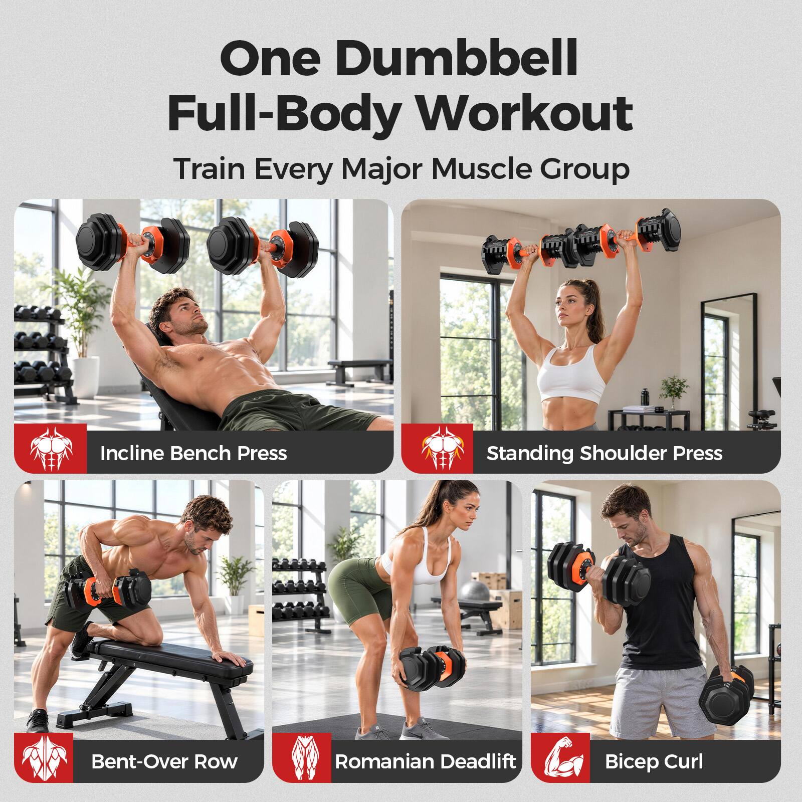 One Dumbbell Full-Body Workout  
Train Every Major Muscle Group

- Incline Bench Press
- Standing Shoulder Press
- Bent-Over Row
- Romanian Deadlift
- Bicep Curl