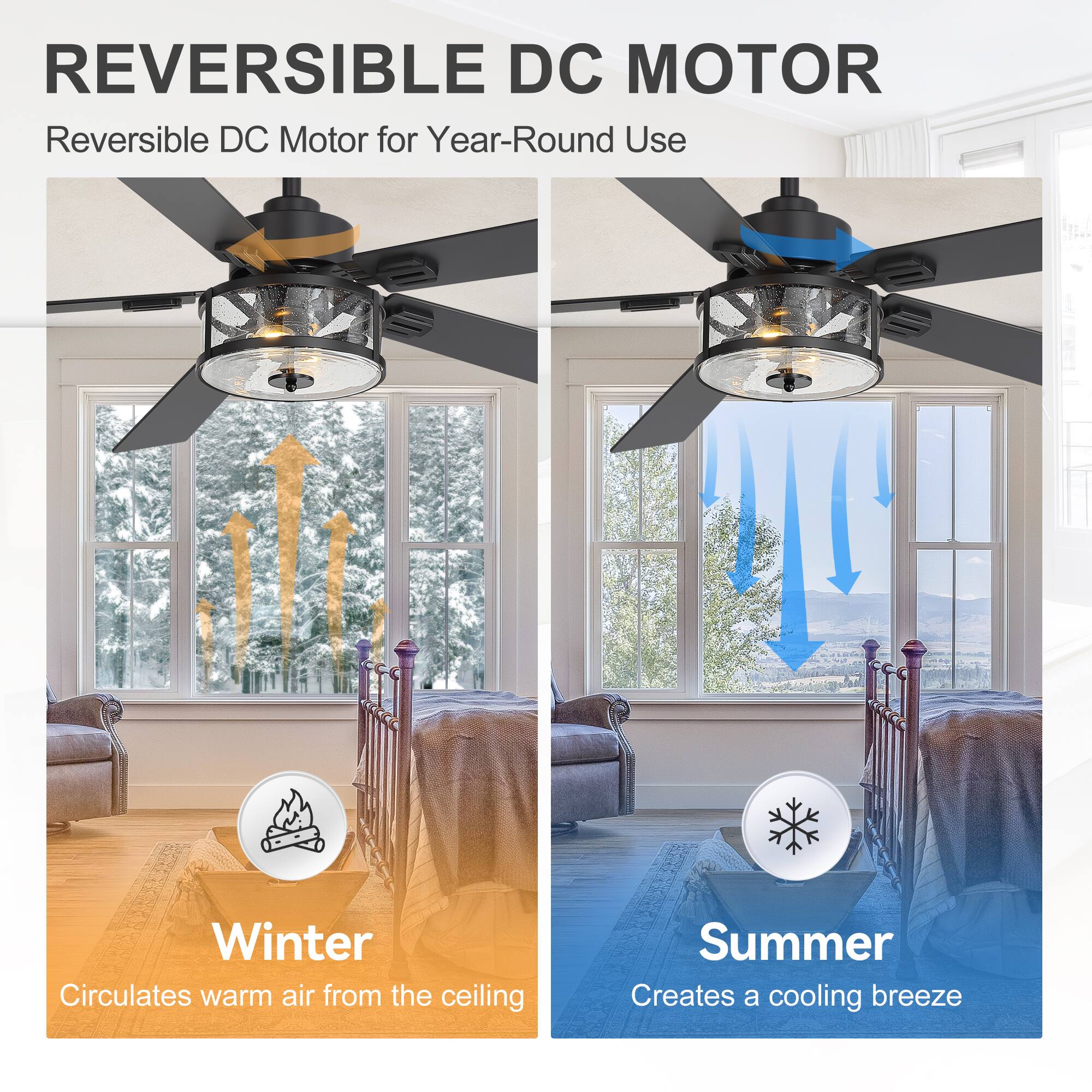 REVERSIBLE DC MOTOR  
Reversible DC Motor for Year-Round Use  

Winter  
Circulates warm air from the ceiling  

Summer  
Creates a cooling breeze