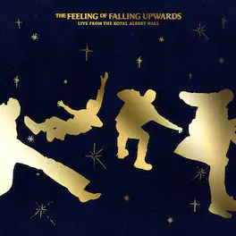 5 Seconds of Summer - The Feeling of Falling Upwards (Live from The Royal Albert Hall) - VINYL LP