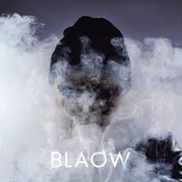Blaow [LP] - VINYL - Front_Standard