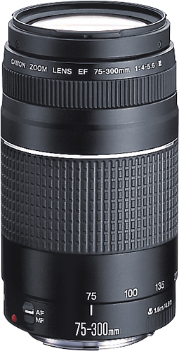 Canon Ef 75 300mm F 4 5 6 Iii Telephoto Zoom Lens Multi Instantfinance24