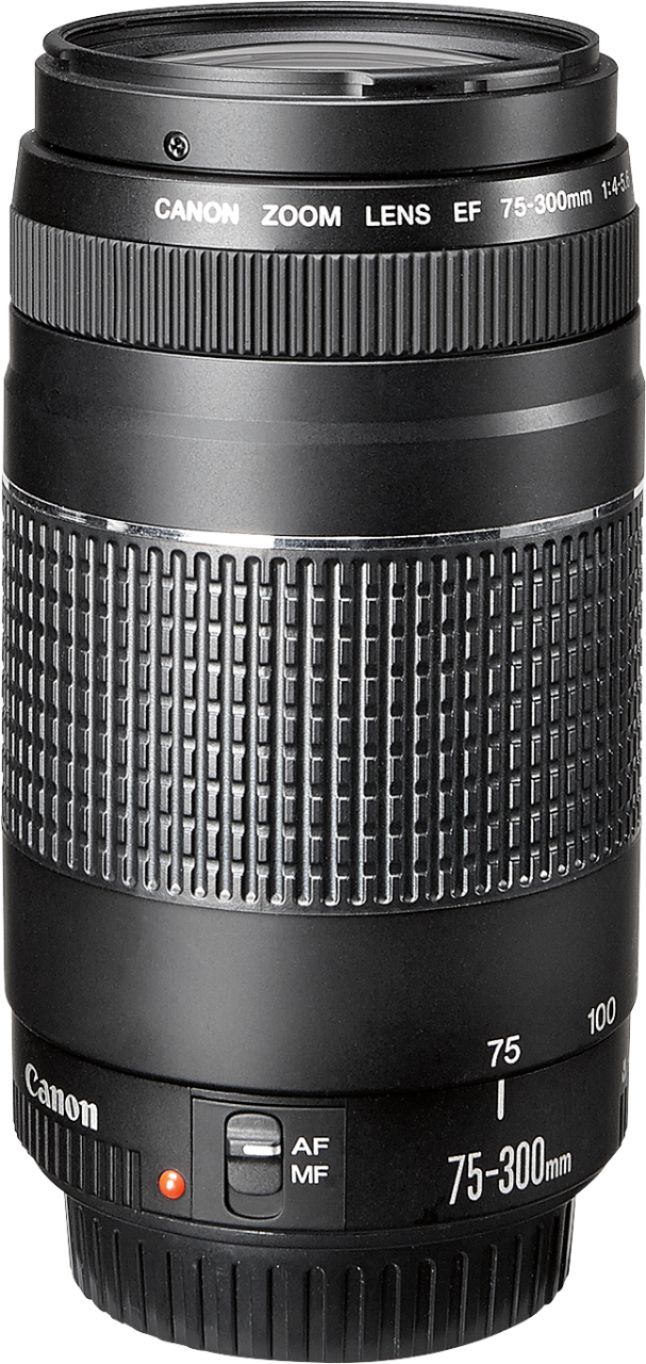 カメラ レンズ(ズーム) キャノン 望遠レンズ Canon EF 75-300mm F4-5.6 II レンズ(ズーム 