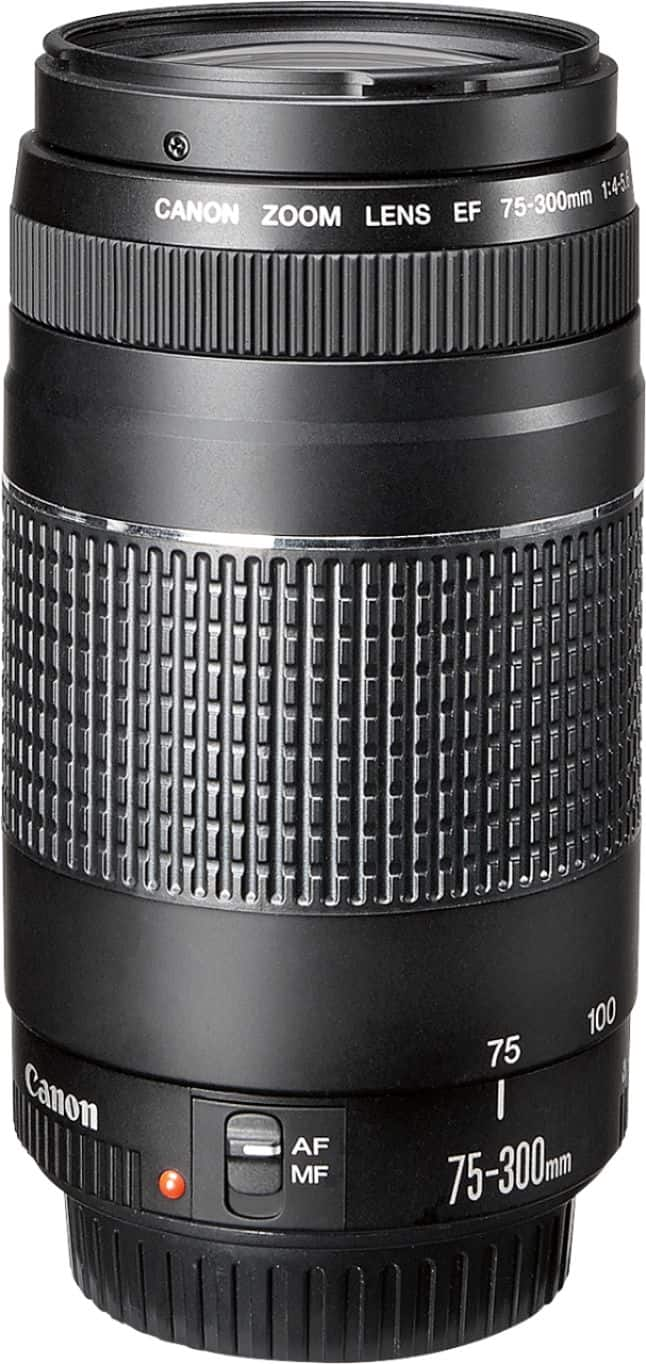 Canon EF75-300mm F4-5.6 III Telephoto Zoom Lens for EOS DSLR Cameras Multi  6472A002 - Best Buy