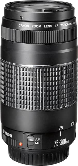 Canon EF75-300mm F4-5.6 III Telephoto Zoom Lens for EOS DSLR