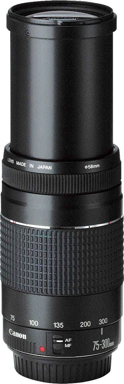 処分特価Canon EF75-300mm f4-5.6 IS USM レンズ(ズーム)