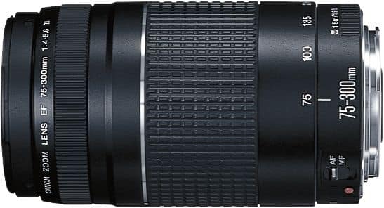 Canon EF75-300mm F4-5.6 III Telephoto Zoom Lens for EOS DSLR 