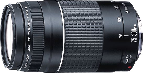 Canon EF75-300mm F4-5.6 III Telephoto Zoom Lens for EOS DSLR