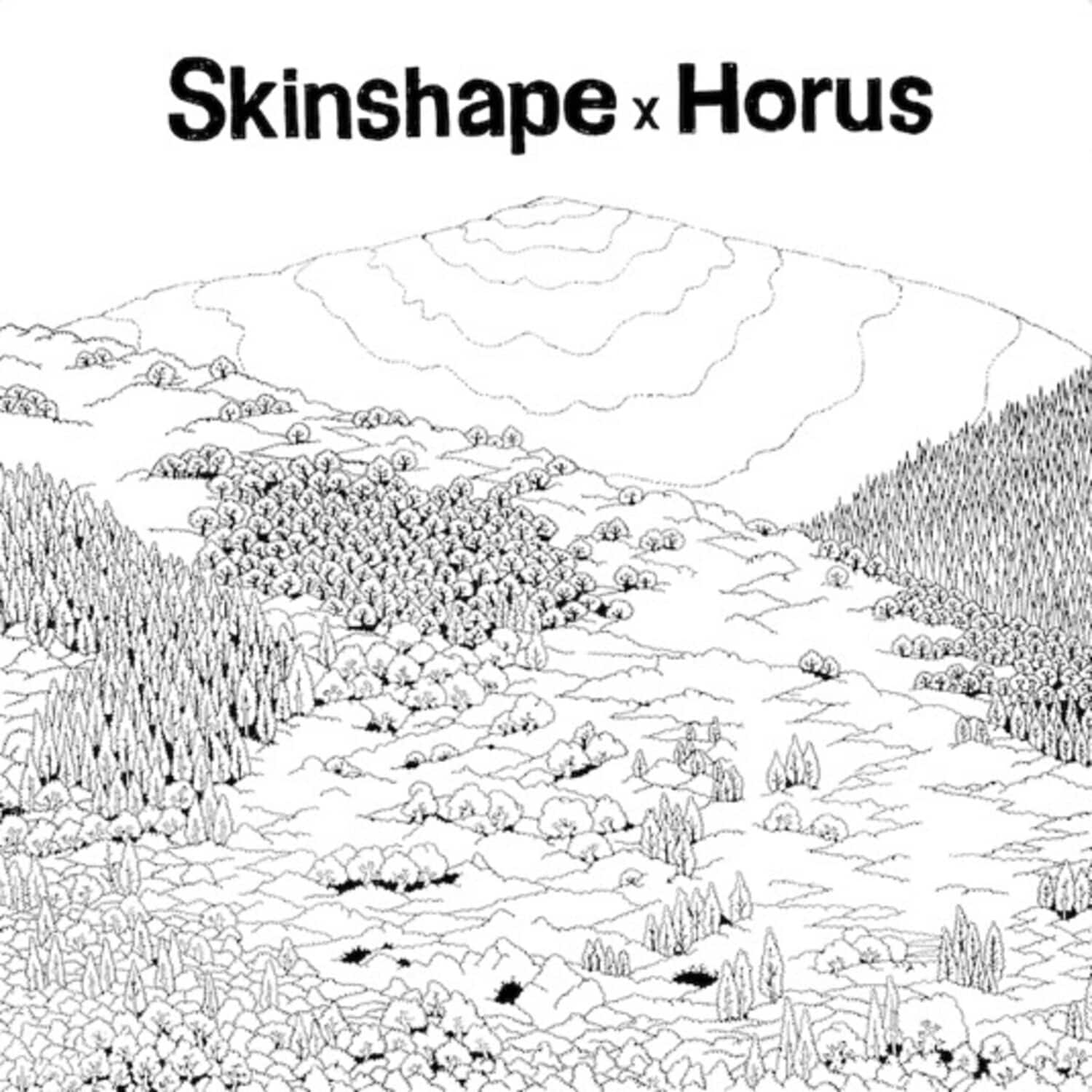 Skinshape X Horus - Skinshape X Horus   - VINYL LP price history on PriceWatchPro
