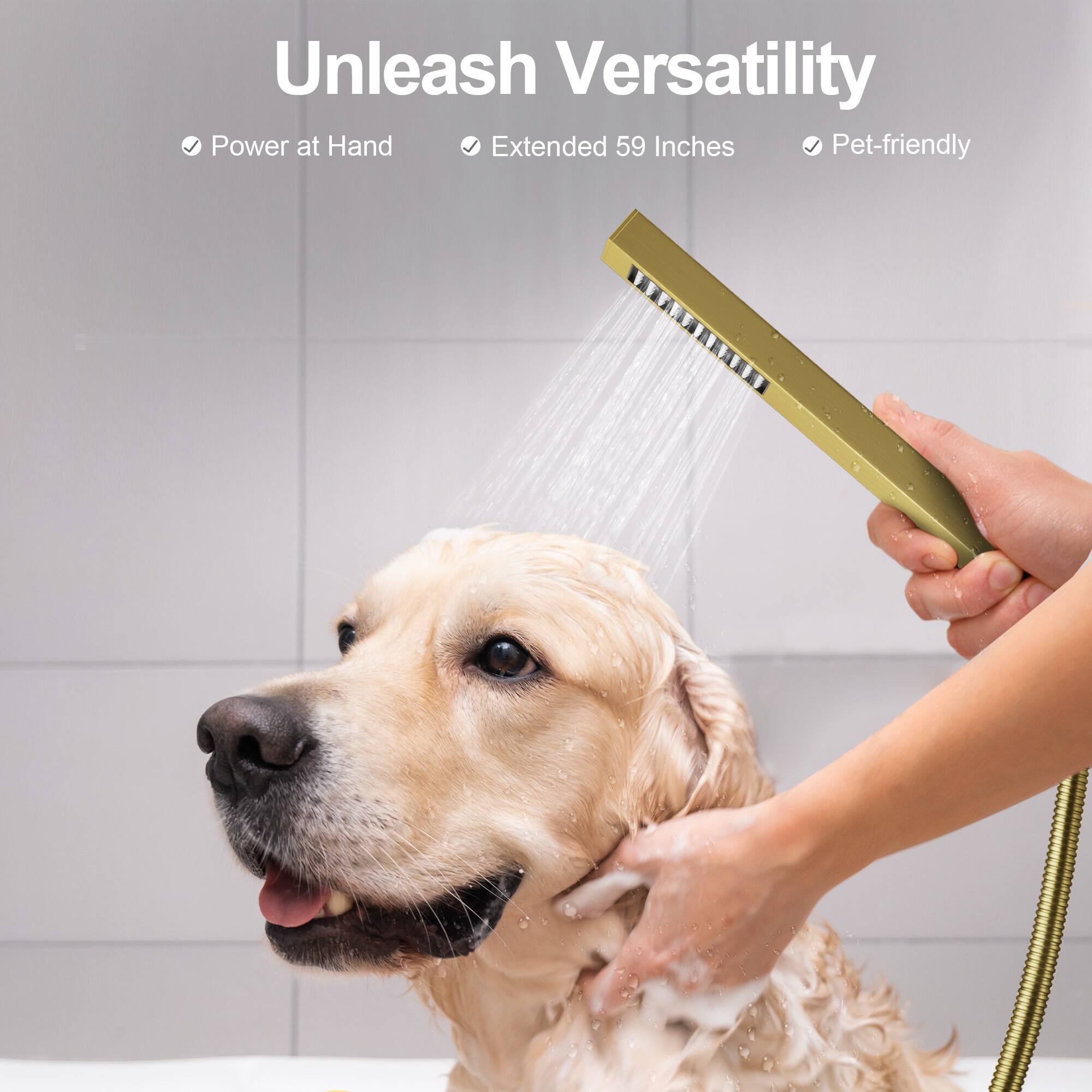 Unleash Versatility  
Power at Hand  
Extended 59 Inches  
Pet-friendly