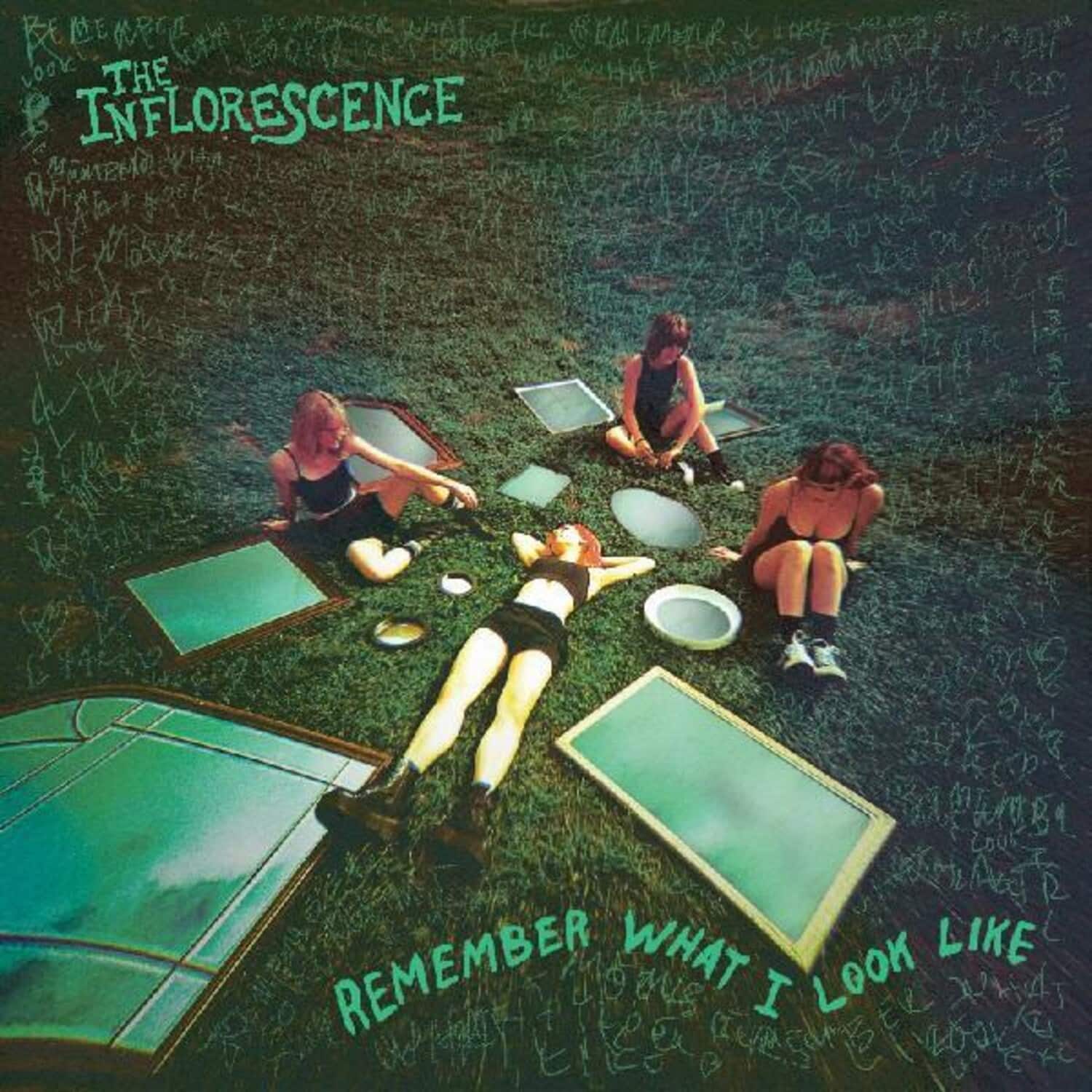 Inflorescence - Remember What I Look Like   - VINYL LP price history on PriceWatchPro