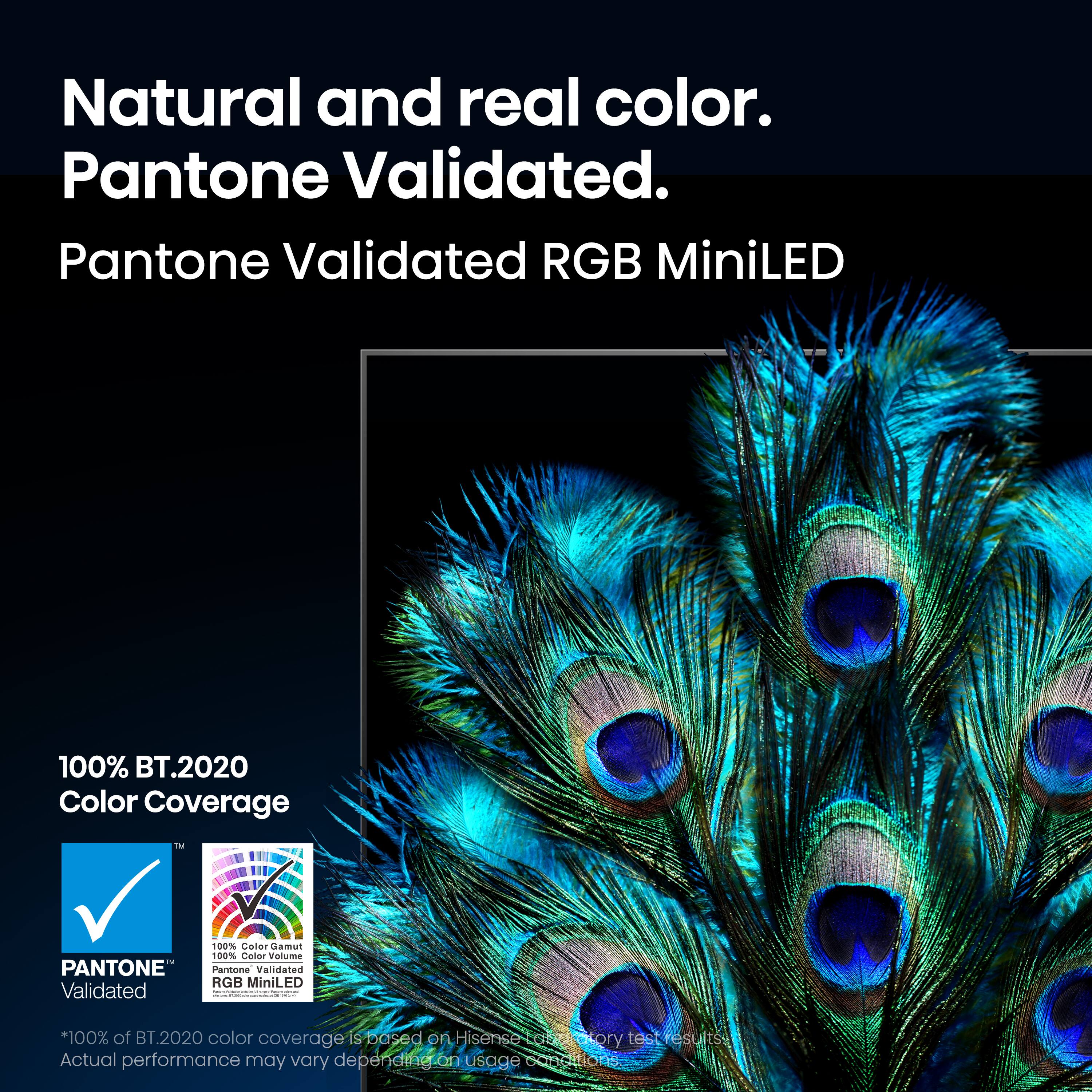 Natural and real color.  
Pantone Validated.  
Pantone Validated RGB MiniLED  

100% BT.2020 Color Coverage  

*100% of BT.2020 color coverage is based on Hisense proprietary test results.  
Actual performance may vary depending on usage conditions.