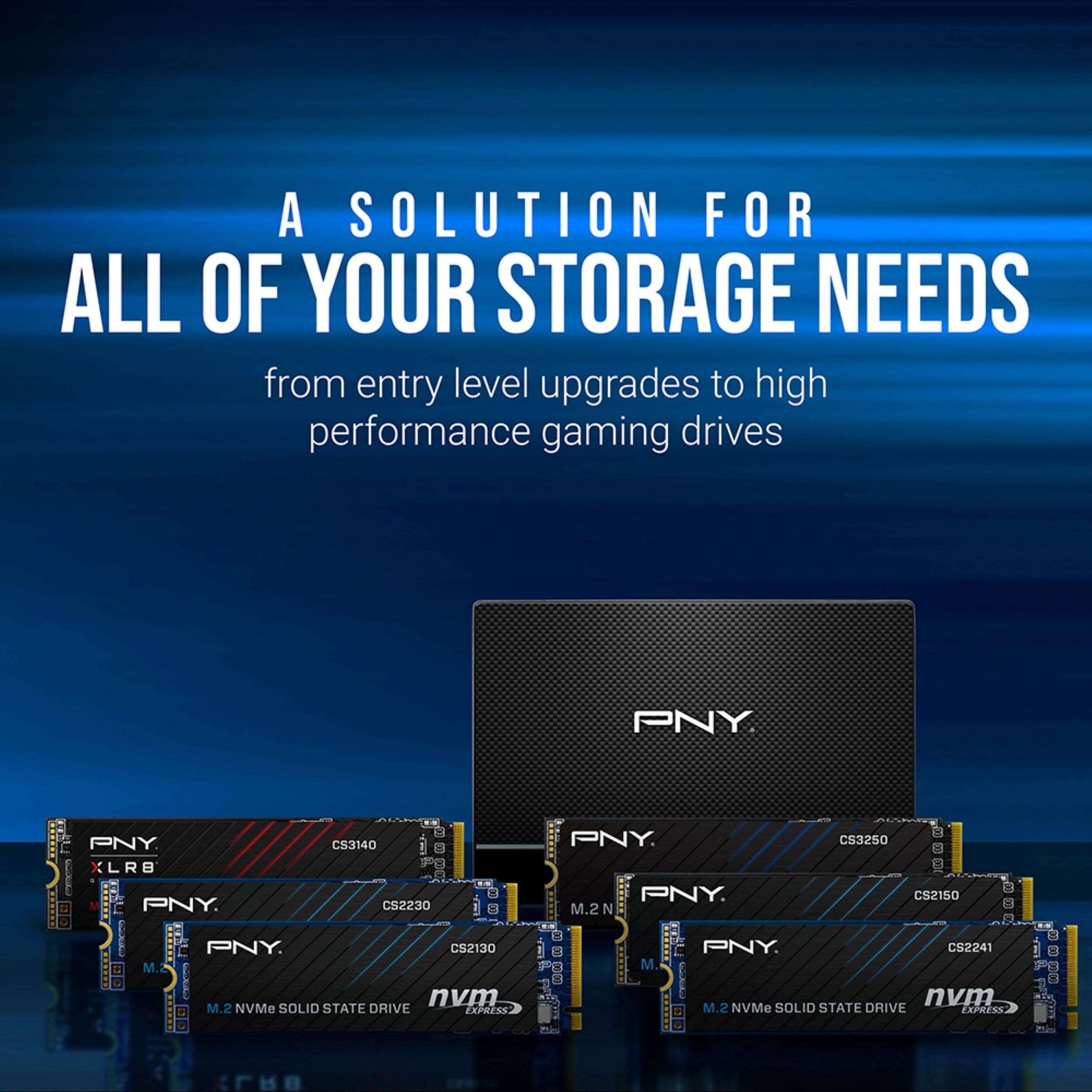 A SOLUTION FOR ALL OF YOUR STORAGE NEEDS from entry level upgrades to high performance gaming drives

PNY

PNY XLR8 CS3140
PNY CS2230 BB OREO
PNY CS2130 M.2
PNY CS3250
PNY CS2150 M.2
PNY CS2241 M.2

M.2 NVMe SOLID STATE DRIVE EXPRESS