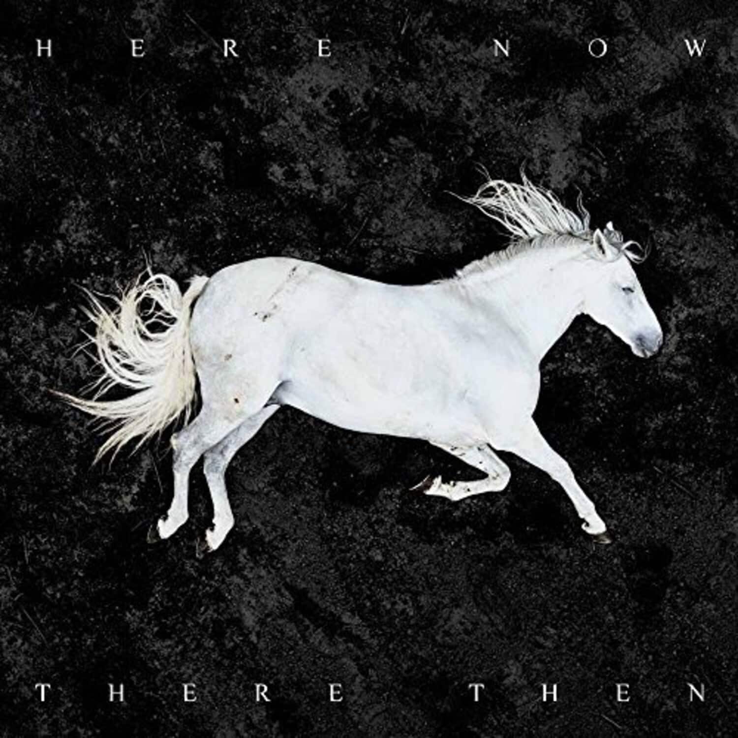 Dool - Here Now There Then   - COMPACT DISCS [CD] price history on PriceWatchPro